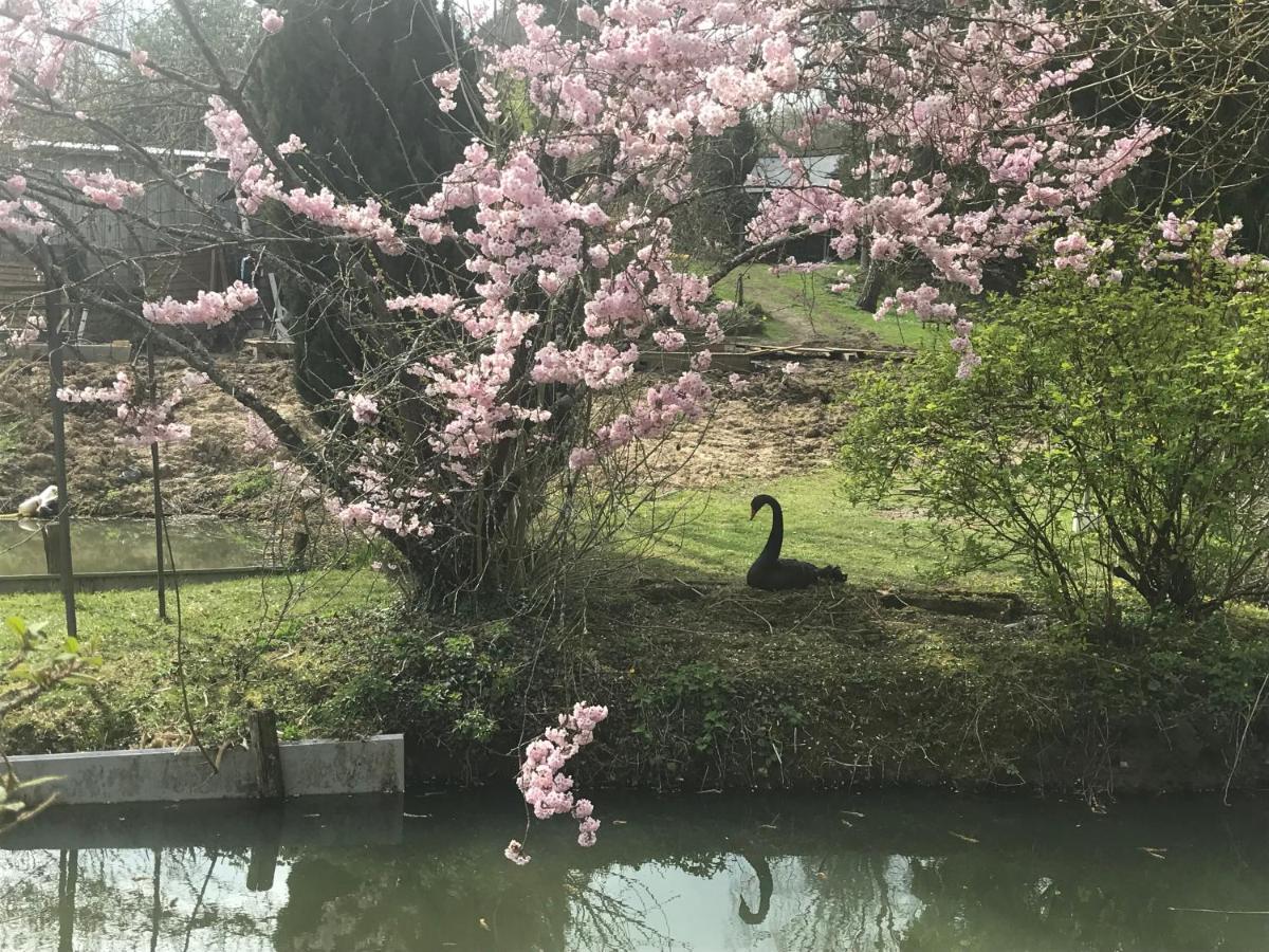 Le Moulin Calme Bed & Breakfast Luceau Bagian luar foto