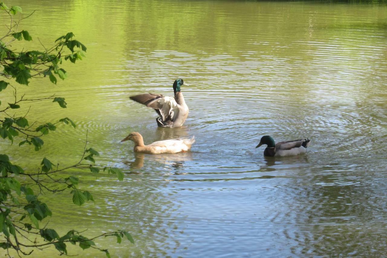 Le Moulin Calme Bed & Breakfast Luceau Bagian luar foto